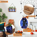 Terrarium Set of 3 Skull Glass Propagation Stations with Wood Stand