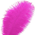Fuchsia Large Ostrich Feathers, 24pcs 10-12inch Craft Feathers Bulk