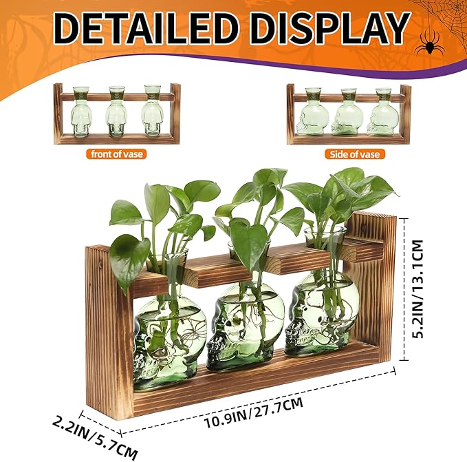 Terrarium Skull Propagation Stations, 3 Glass Vases with Wood Stand