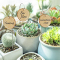 Wooden Plant Labels with Marker Pen