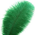 Ostrich Feathers Bulk – Green, 24pcs 10-12inch Feathers for Vase