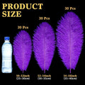 Large Ostrich Feathers Bulk 14-16 Inch (35-40cm), 90 Pcs – Natural