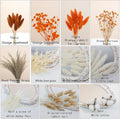 DIY Autumn Dried Flower Kit – Natural