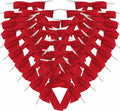 50pcs 2-1/2" Red Satin Ribbon Bows with Twist Ties for Gift Wrapping Packing Christmas Decoration (Red)