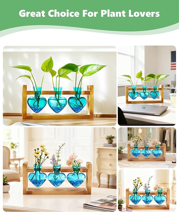 Terrarium Set with Wood Stand, 3 Glass Bulb Vases, Blue Stone