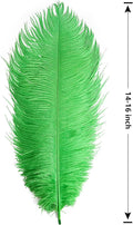 Ostrich Feathers Large Natural Bulk 14-16Inch 35cm-40cm, 12pcs – Green