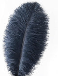 Ostrich Feathers Plumes – Navy Blue, 24pcs 10-12inch Craft Feathers