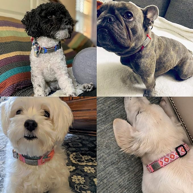 Personalized Dog & Cat ID Tags - Custom Engraved, Slide On, Silent, No Noise - Small, Medium, Large Sizes