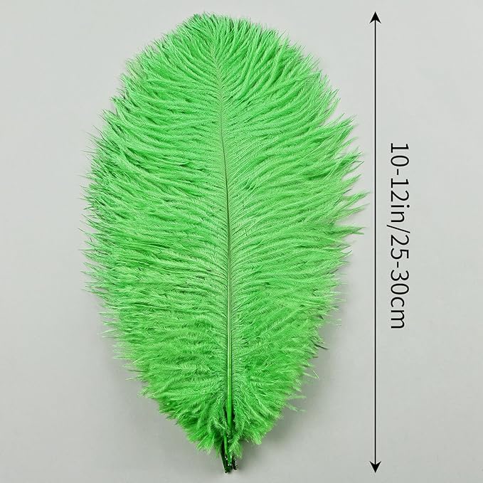 THARAHT Green Ostrich Feathers 12pcs Natural Bulk 10-12Inch 25cm-30cm for Crafts Wedding Party Centerpieces Mardi Gras and Home Decoration Feathers