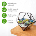 DIY 7" Geometric Terrarium Kit, Build Your Own Glass Terrarium