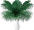 THARAHT Blackish Green Ostrich Feathers 12pcs Natural Bulk 10-12Inch 25cm-30cm for Crafts Wedding Party Centerpieces Mardi Gras Decoration Feather