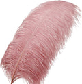 Ostrich Feathers Bulk- 16- 10pcs Feathers, 18 Inch – Pink