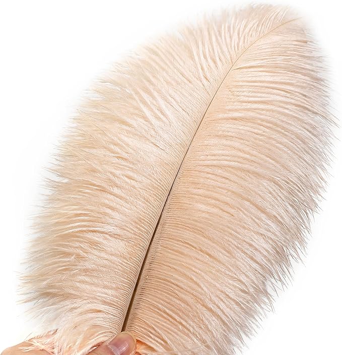 Ballinger Light Salmon Ostrich Feathers - 24pcs 8-10inch Feathers for Crafts，Wedding Party Centerpieces and Home Decor