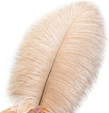 Light Salmon Ostrich Feathers, 24pcs 8-10inch Feathers