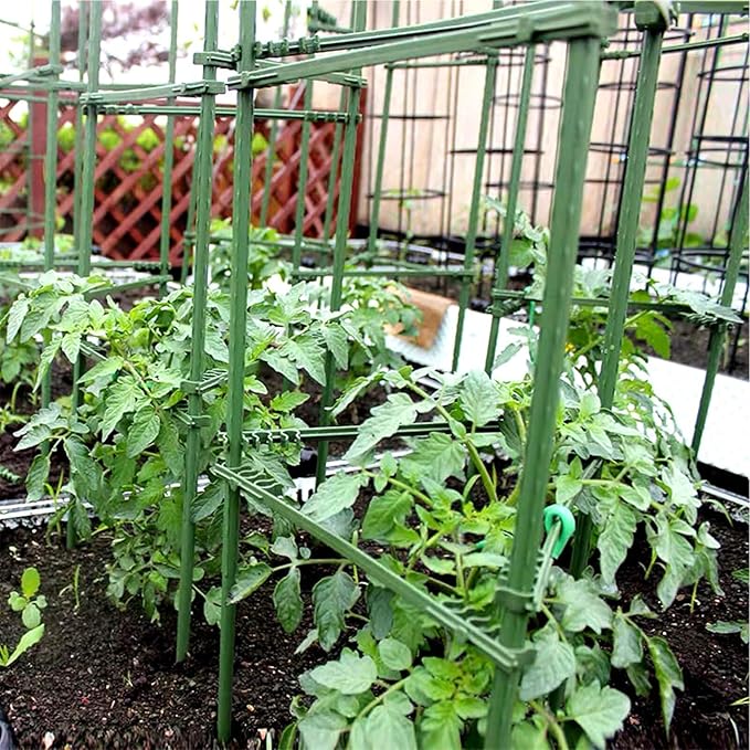 Orgrimmar Tomato Cages Garden Plant Support Stakes Outdoor Vegetable Trellis for Vertical Climbing Plant Up to 63“,3 Packs