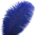 Ostrich Feathers – Royal Blue, 24Pcs 10-12inch Feathers for Party