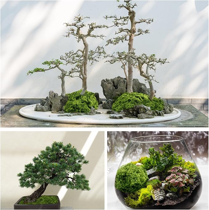 Fake Green Moss for Plants Indoor, 5.3OZ Artificial Moss for Potted Plants Decor, DIY Decorative Moss for Crafts Fairy Garden Floral Wedding Model Making Glass Containers Home (150g)