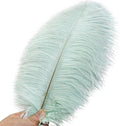 Green Ostrich Feathers – Aqua, 24pcs 10-12inch Craft Feathers Bulk