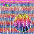 Wavy Rainbow Foil Fringe Curtain, 4 Pack