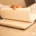 Journal Notebook for Writing